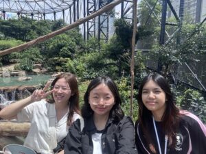 IMG_8411 IMG_8411